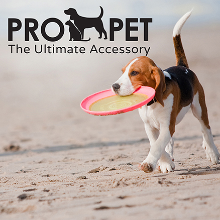 Pet Products And Accessories